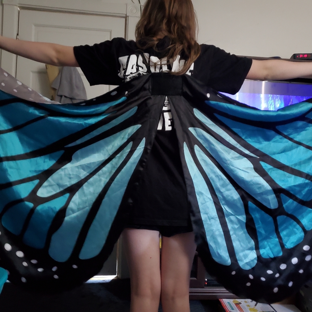Costume Wings